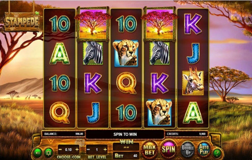 Play Stampede Slot Machine Online