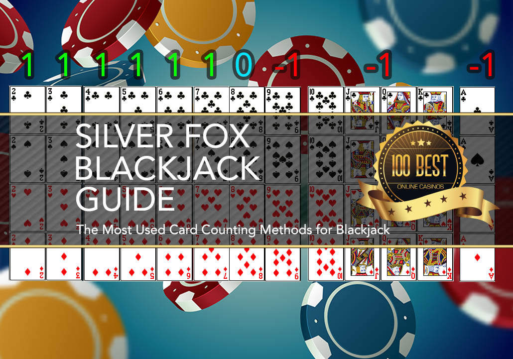 Can you play blackjack professionally