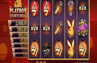 Playboy Fortunes